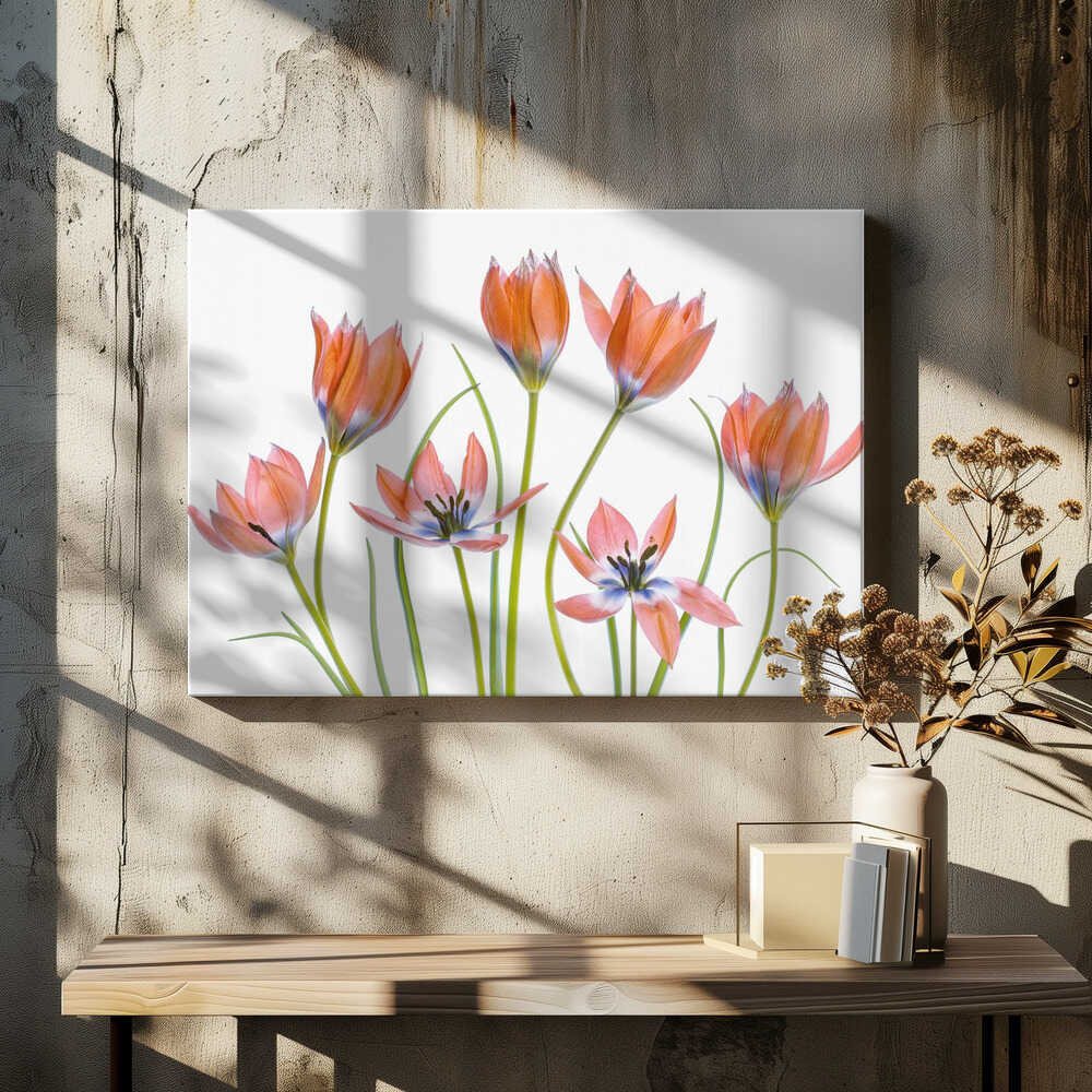 Apricot Tulips Canvas Print Wall Art 1X1325620 - ART FEVER - Art Fever