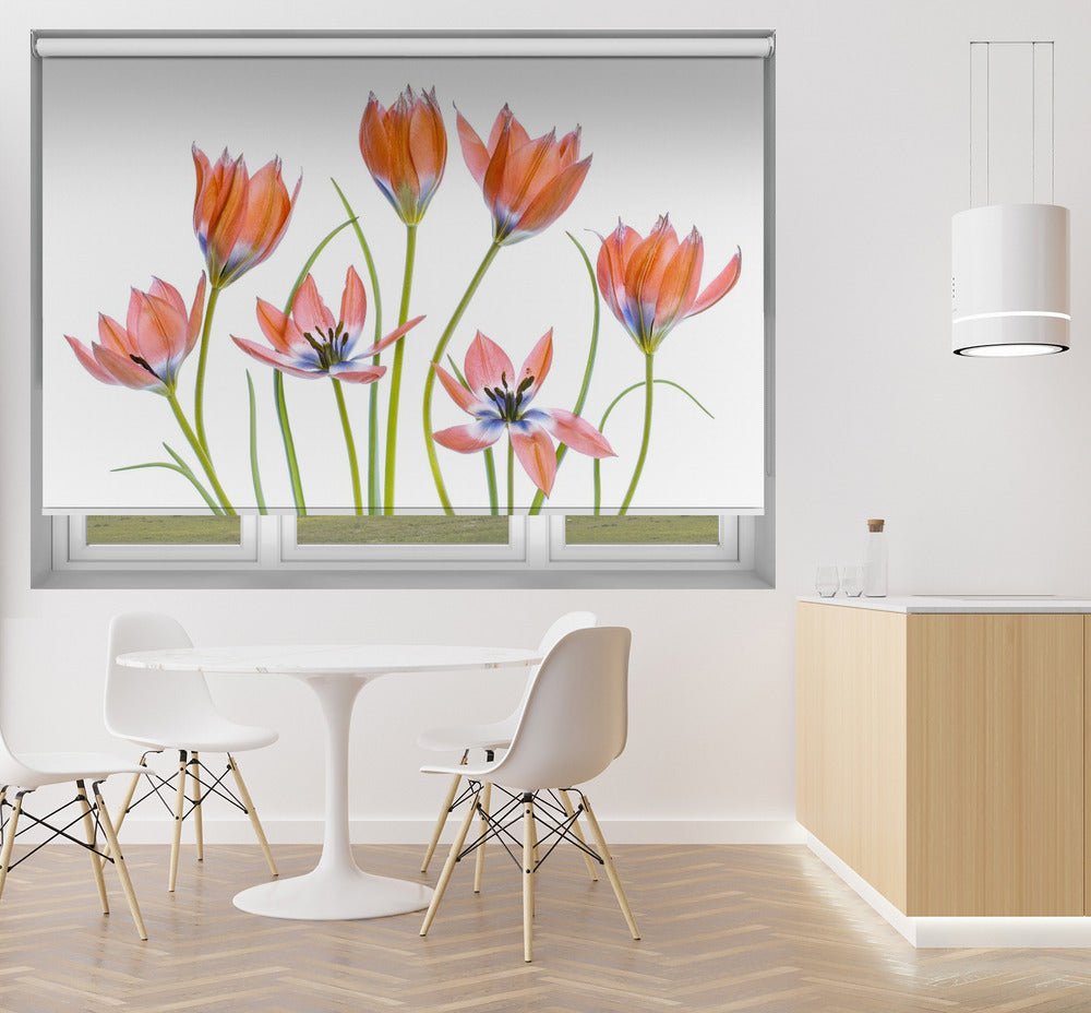 Apricot Tulips Printed Picture Photo Roller Blind - 1X1325620 - Art Fever - Art Fever
