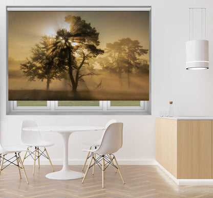 Misty Forest Sun Rays Printed Roller Blind 1X3167403