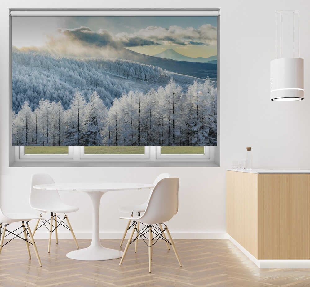 Fuji Winter Forest Sunbeams Printed Roller Blind 1X3188155