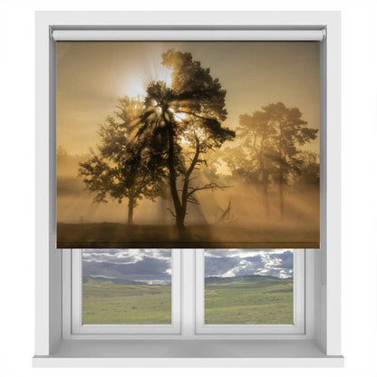 Misty Forest Sun Rays Printed Roller Blind 1X3167403