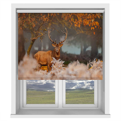 Majestic Red Deer Stag Printed Roller Blind - 1X3242101