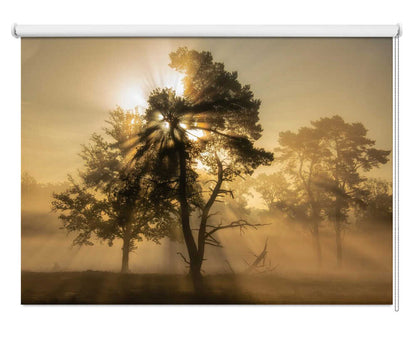 Misty Forest Sun Rays Printed Roller Blind 1X3167403