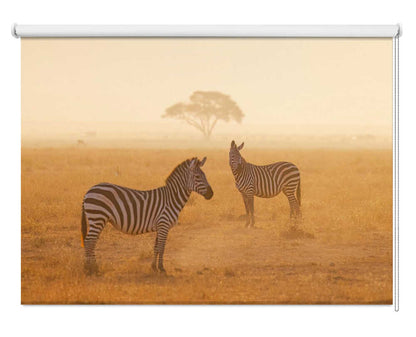 Misty Zebras Golden Light Printed Roller Blind - 1X3191848