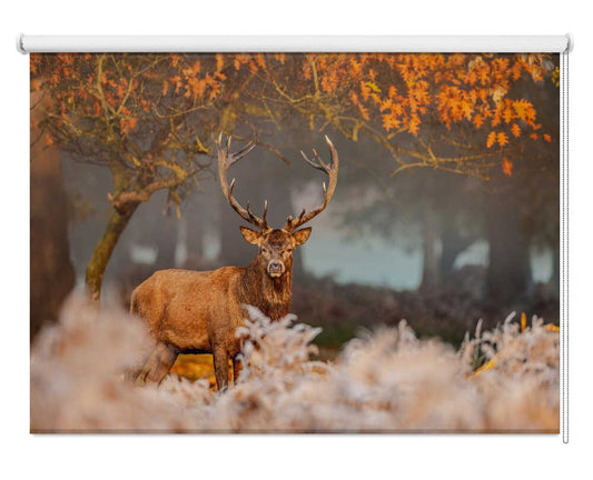 Majestic Red Deer Stag Printed Roller Blind - 1X3242101