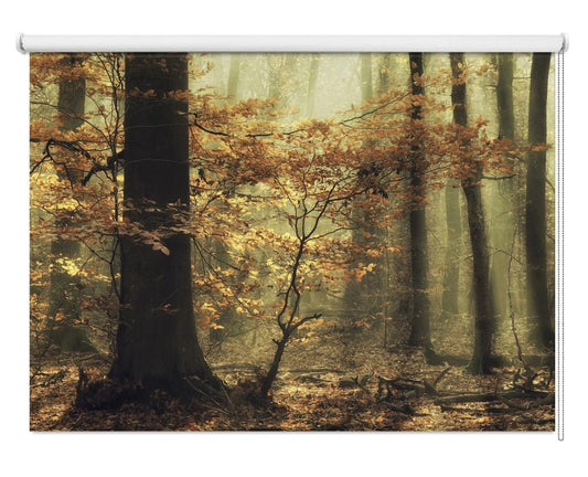 Autumn Leaves Printed Picture Photo Roller Blind - 1X1768792 - Art Fever - Art Fever