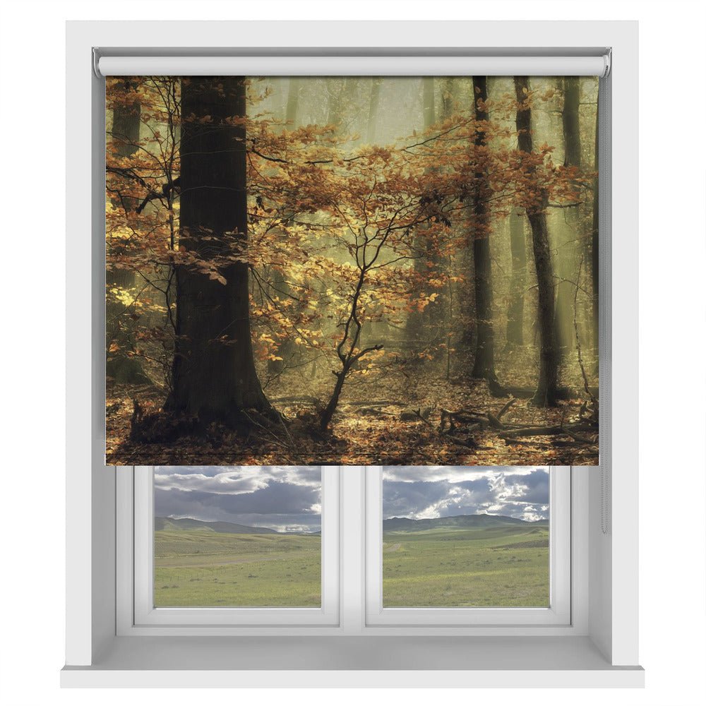 Autumn Leaves Printed Picture Photo Roller Blind - 1X1768792 - Art Fever - Art Fever