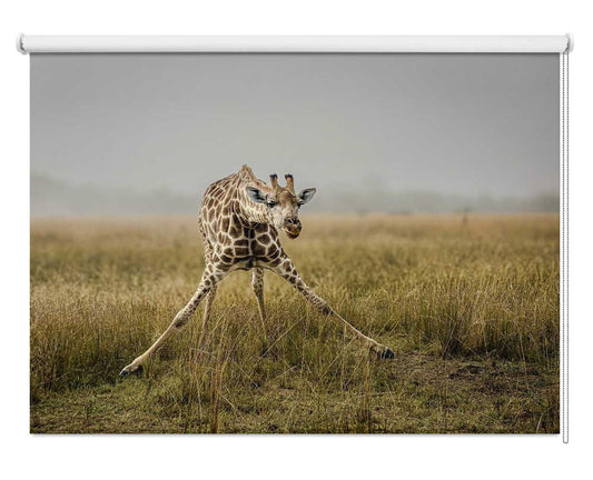 Awkward Giraffe Stretch Printed Roller Blind - 1X3188424 - Art Fever - Art Fever