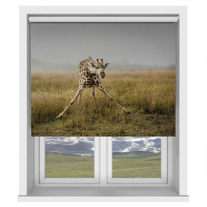 Awkward Giraffe Stretch Printed Roller Blind - 1X3188424 - Art Fever - Art Fever