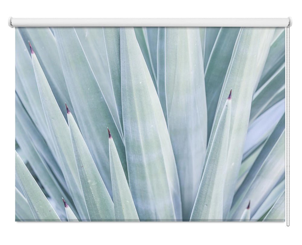 Azure Agave Dance Printed Picture Photo Roller Blind - 1X2518983 - Art Fever - Art Fever