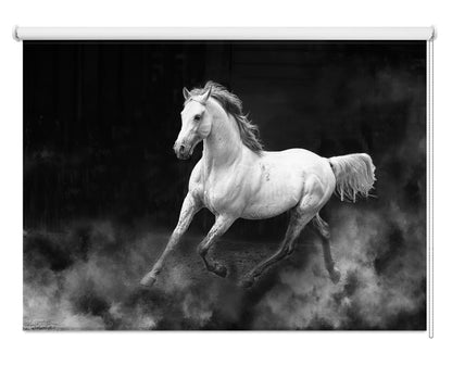 Spirited White Horse Galloping Printed Roller Blind - 1X2970674