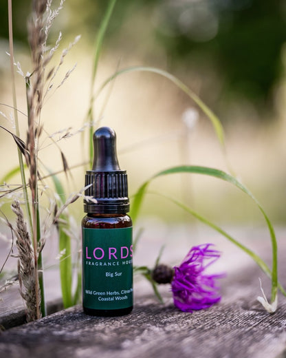 Big Sur Fragrance Oil - LORDS Fragrance House - Art Fever