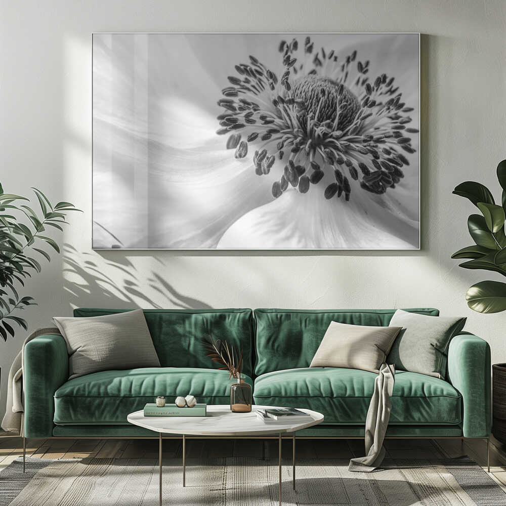 Black White Anemone Canvas Print Wall Art 1X1679848 - ART FEVER - Art Fever