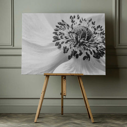 Black White Anemone Canvas Print Wall Art 1X1679848 - ART FEVER - Art Fever