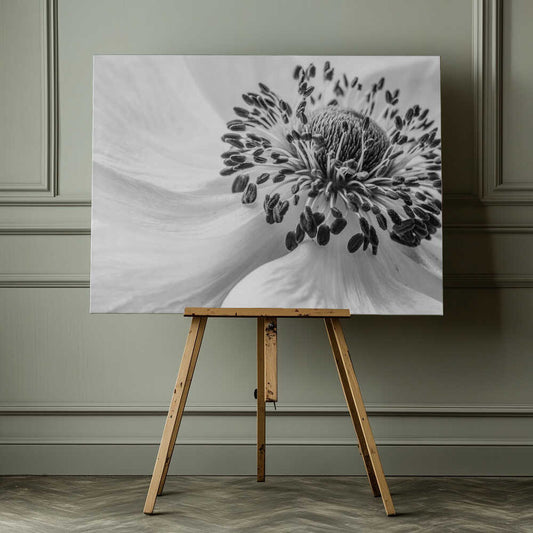 Black White Anemone Canvas Print Wall Art 1X1679848 - ART FEVER - Art Fever