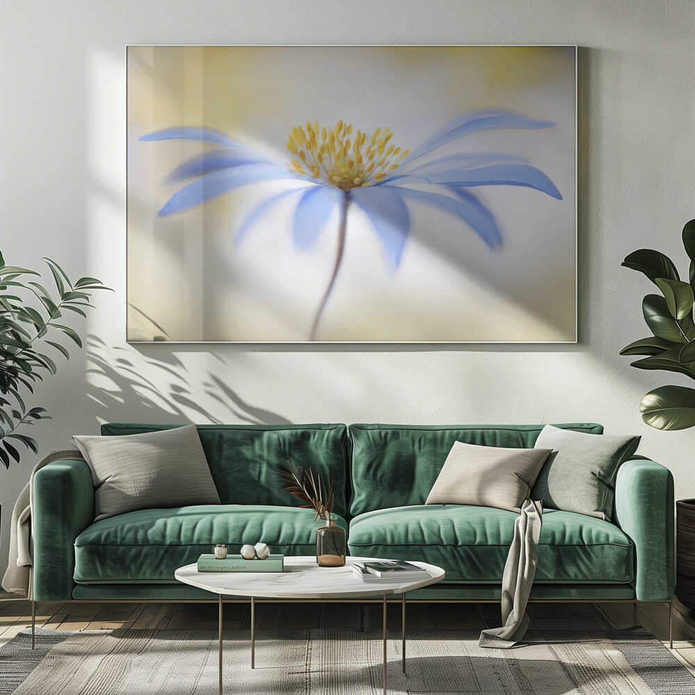 Blue Anemone Canvas Print Wall Art 1X1682308 - ART FEVER - Art Fever