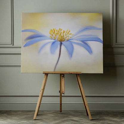 Blue Anemone Canvas Print Wall Art 1X1682308 - ART FEVER - Art Fever