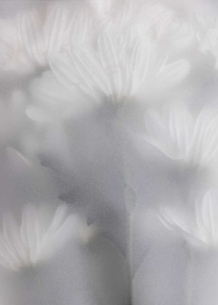 Blurred Flowers 6 Canvas Print Wall Art 1X2910541 - ART FEVER - Art Fever