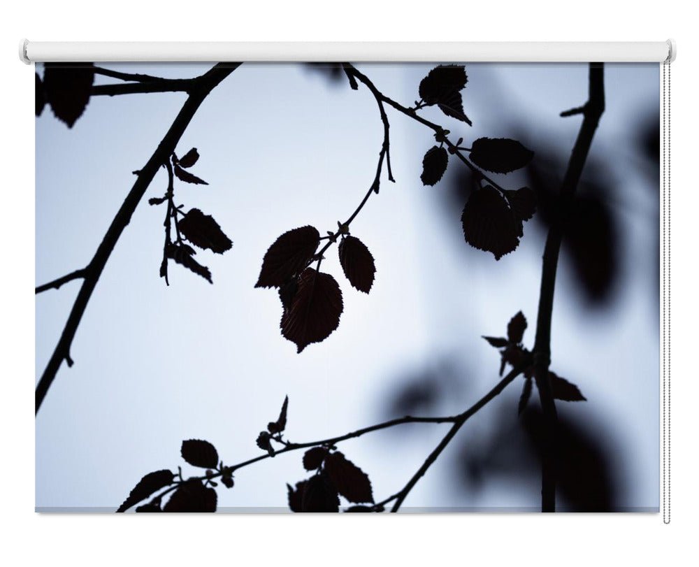 Break of Dawn Printed Picture Photo Roller Blind - 1X2558815 - Art Fever - Art Fever