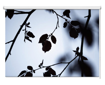 Break of Dawn Printed Picture Photo Roller Blind - 1X2558815 - Art Fever - Art Fever