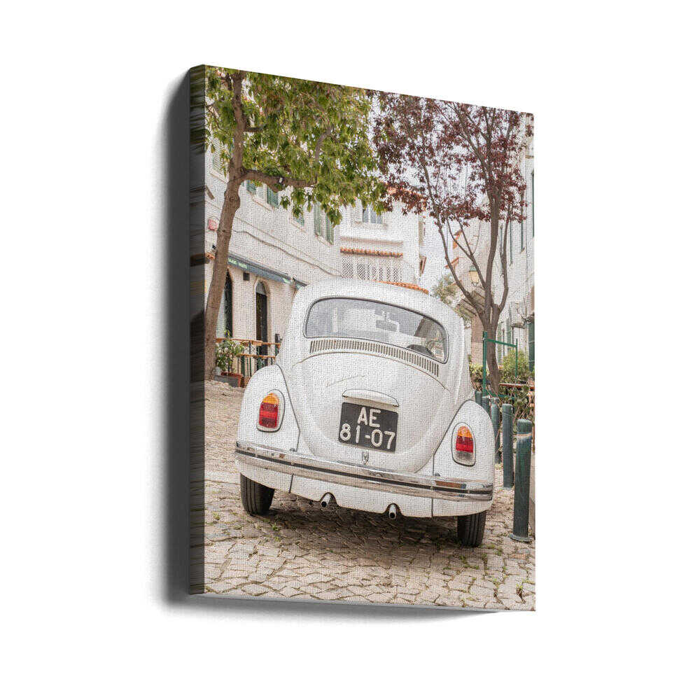 White Beetle on Cobblestone Canvas Print Wall Art 1X2711032