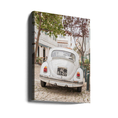 White Beetle on Cobblestone Canvas Print Wall Art 1X2711032