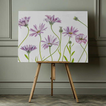 Cape Daisies Canvas Print Wall Art 1X1283281 - ART FEVER - Art Fever