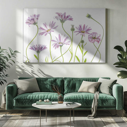 Cape Daisies Canvas Print Wall Art 1X1283281 - ART FEVER - Art Fever