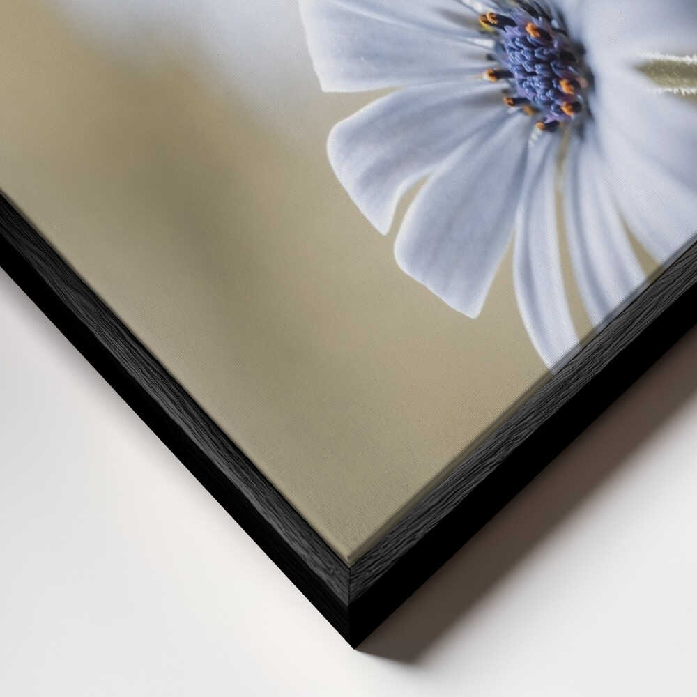 Cape daisies Canvas Print Wall Art 1X767583 - ART FEVER - Art Fever