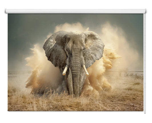 Powerful Elephant Dust Cloud Printed Roller Blind - 1X2869972