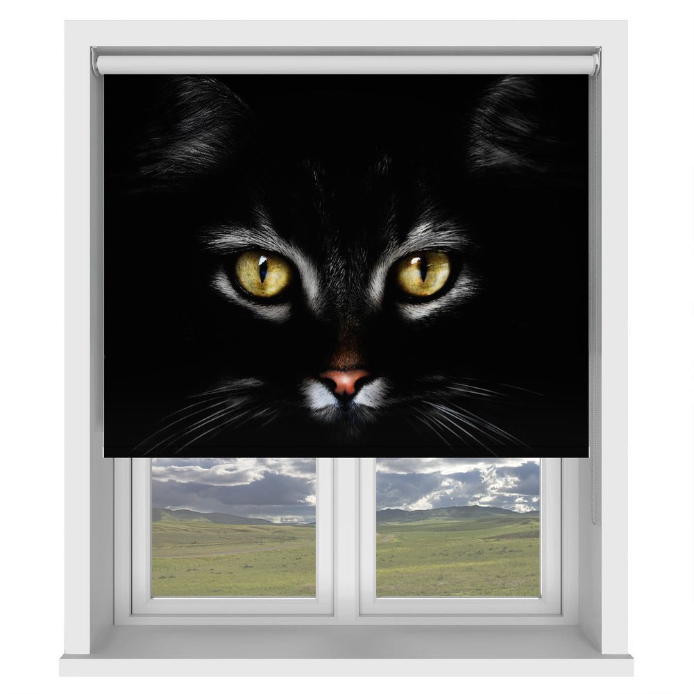 Close Up Cats Eyes Printed Picture Photo Roller Blind - 1X1835188 - Art Fever - Art Fever