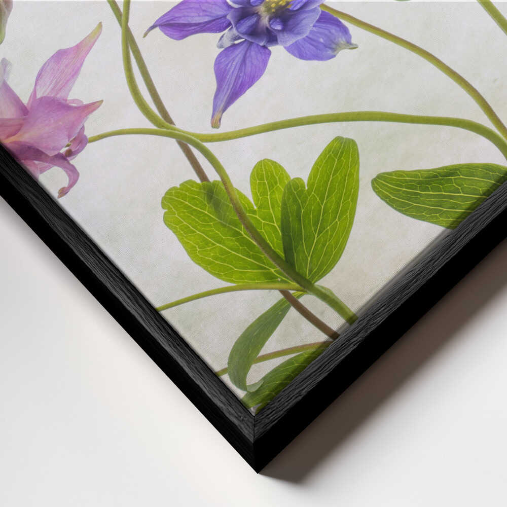 Columbine Floral Art Canvas Print Wall Art 1X1474479 - ART FEVER - Art Fever