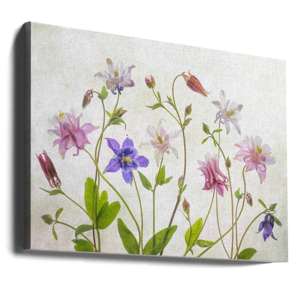 Columbine Floral Art Canvas Print Wall Art 1X1474479 - ART FEVER - Art Fever