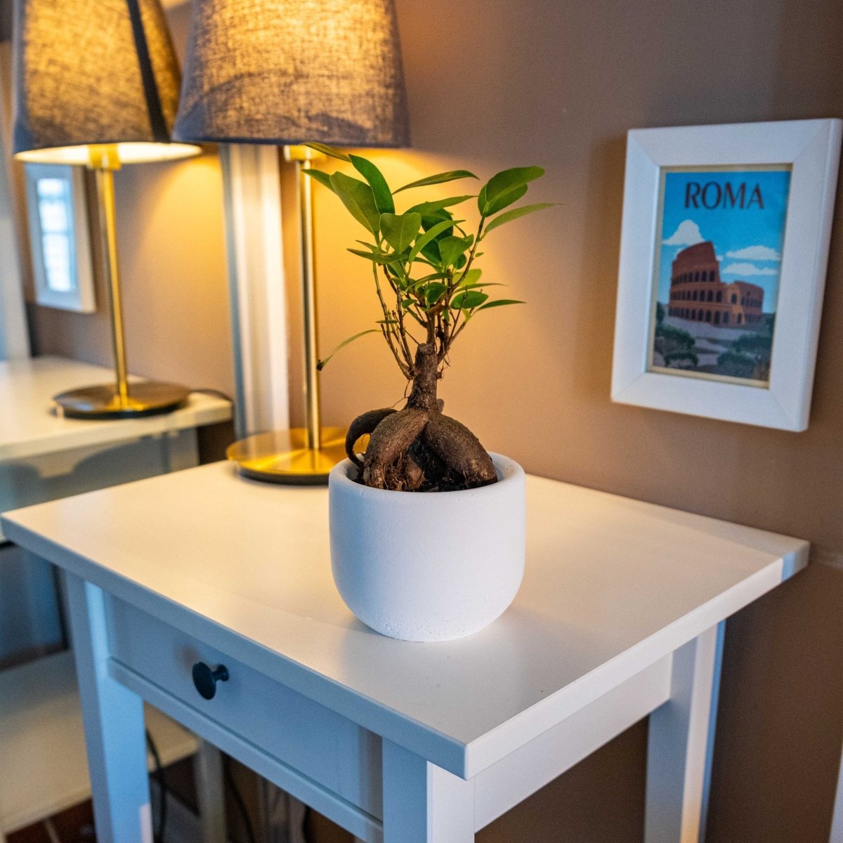 CONCRETE BIG DOLPHIN POT - Gloria Home - Art Fever