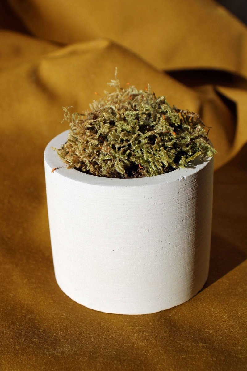 CONCRETE CYLINDER TEALIGHT HOLDER, CONCRETE CYLINDER POT - Gloria Home - Art Fever