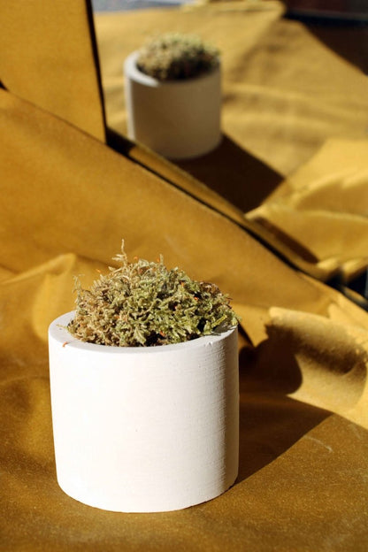 CONCRETE CYLINDER TEALIGHT HOLDER, CONCRETE CYLINDER POT - Gloria Home - Art Fever