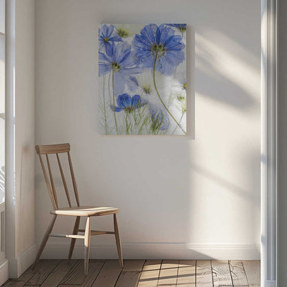 Cosmos blue Canvas Print Wall Art 1X1385163 - ART FEVER - Art Fever