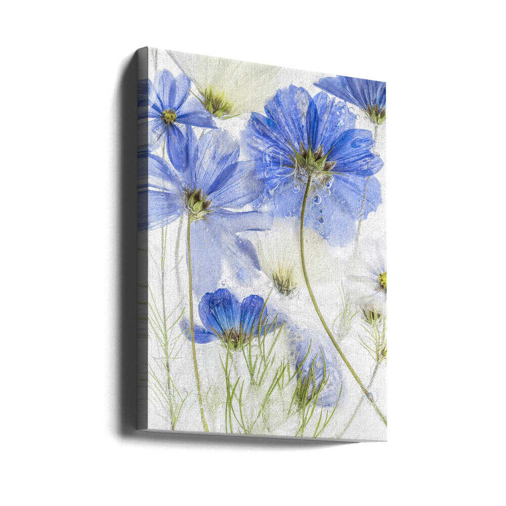 Cosmos blue Canvas Print Wall Art 1X1385163 - ART FEVER - Art Fever