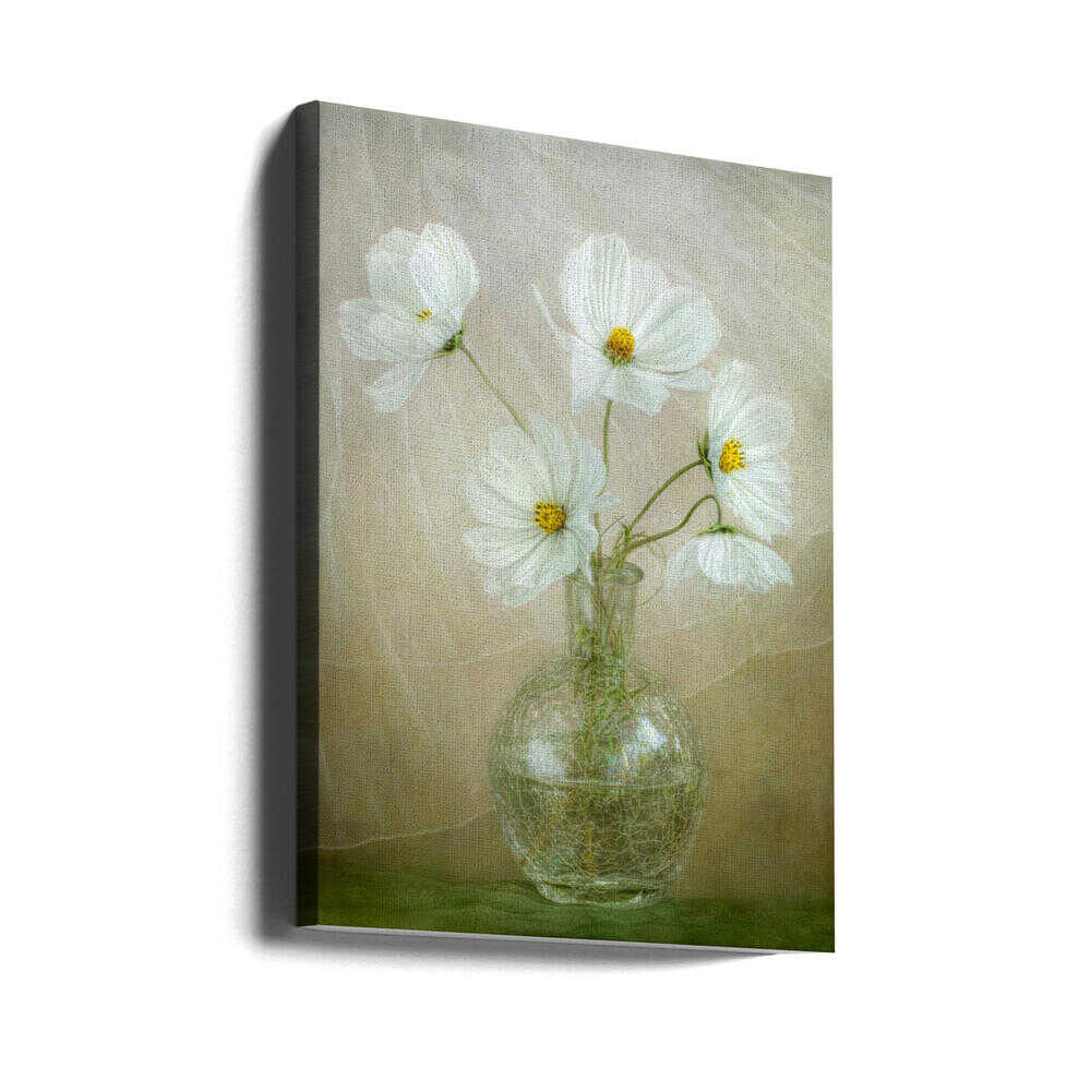 Cosmos breeze Canvas Print Wall Art 1X47057 - ART FEVER - Art Fever