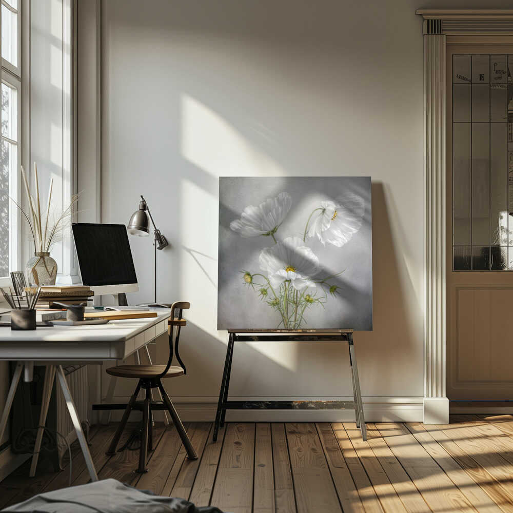 Cosmos Charm Canvas Print Wall Art 1X46185 - ART FEVER - Art Fever