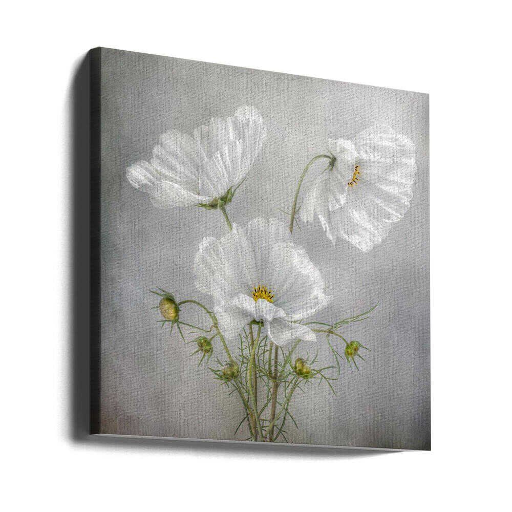 Cosmos Charm Canvas Print Wall Art 1X46185 - ART FEVER - Art Fever
