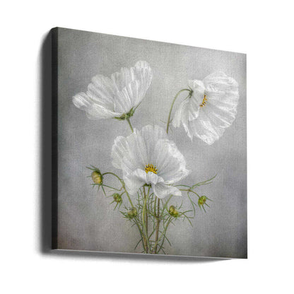 Cosmos Charm Canvas Print Wall Art 1X46185 - ART FEVER - Art Fever