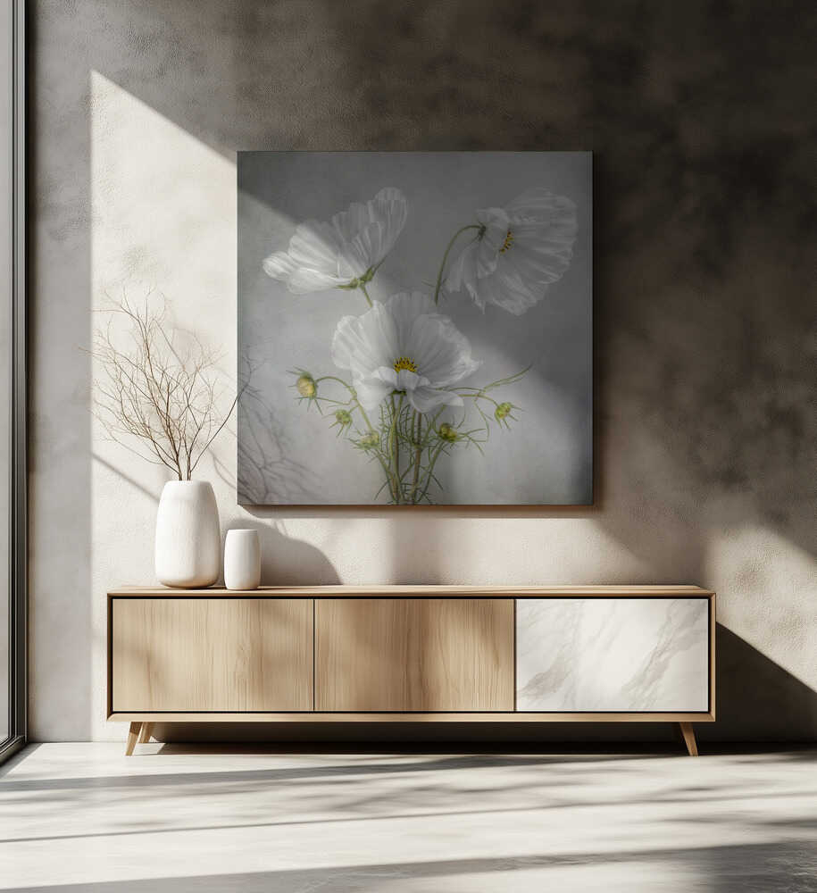 Cosmos Charm Canvas Print Wall Art 1X46185 - ART FEVER - Art Fever