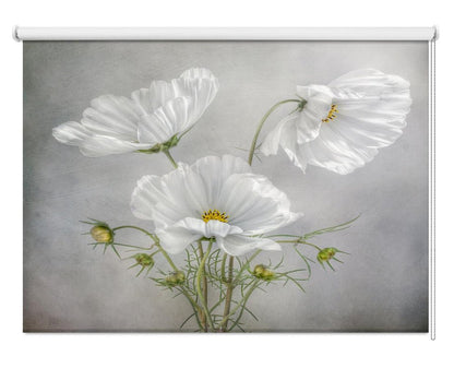 Cosmos Charm Printed Picture Photo Roller Blind - 1X46185 - Art Fever - Art Fever