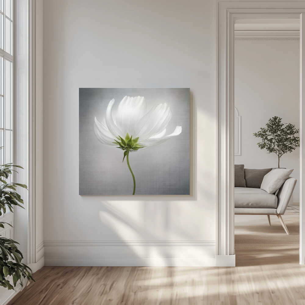 Cosmos Still Life Canvas Print Wall Art 1X1597721 - ART FEVER - Art Fever