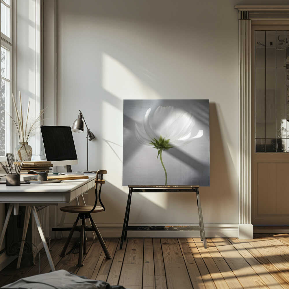 Cosmos Still Life Canvas Print Wall Art 1X1597721 - ART FEVER - Art Fever