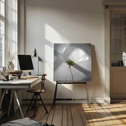 Cosmos Still Life Canvas Print Wall Art 1X1597721 - ART FEVER - Art Fever