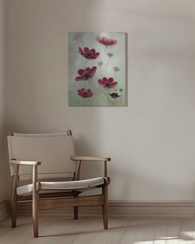 Cosmos sway Canvas Print Wall Art 1X48346 - ART FEVER - Art Fever