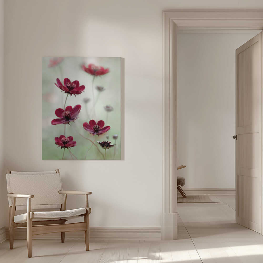 Cosmos sway Canvas Print Wall Art 1X48346 - ART FEVER - Art Fever