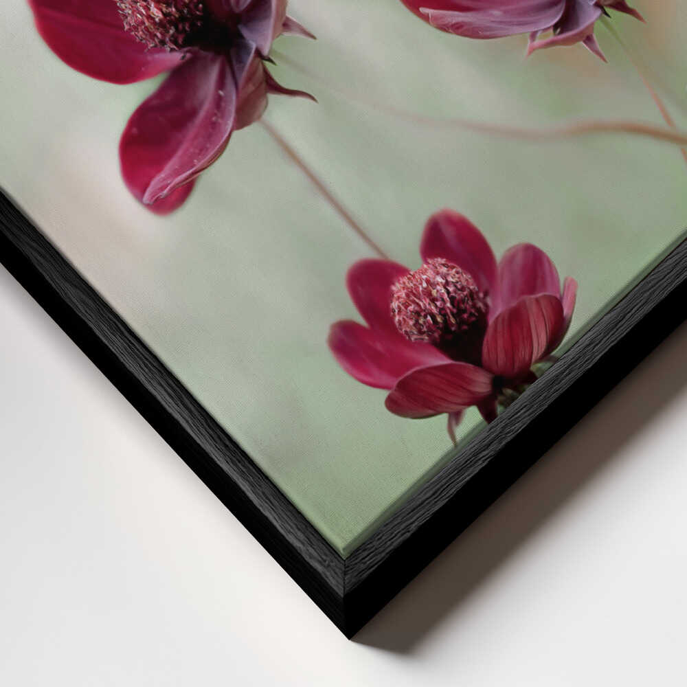 Cosmos sway Canvas Print Wall Art 1X48346 - ART FEVER - Art Fever